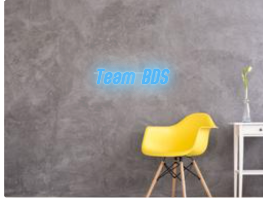 Custom text: Team BDS